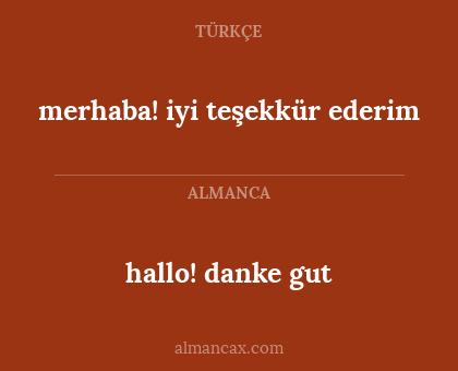 hallo! danke gut - merhaba! iyi teşekkür ederim