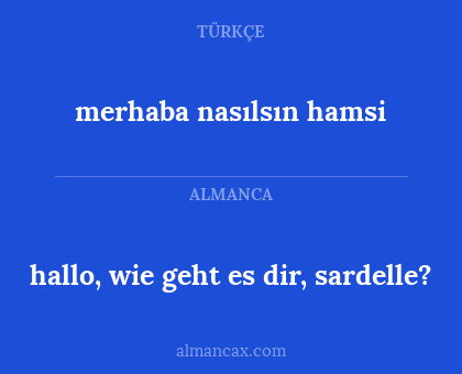 merhaba nasılsın hamsi - hallo, wie geht es dir, sardelle?