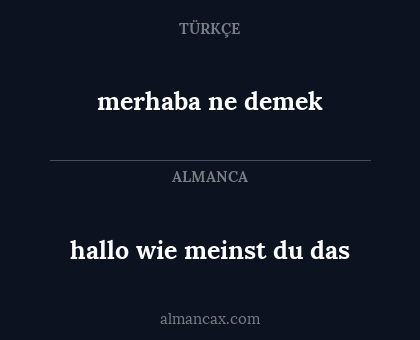 hallo wie meinst du das - merhaba ne demek