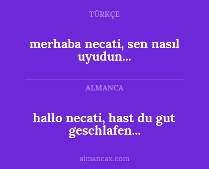 hallo necati, hast du gut geschlafen... - merhaba necati, sen nasıl uyudun...