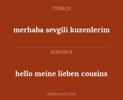hello meine lieben cousins - merhaba sevgili kuzenlerim
