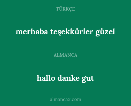 hallo danke gut - merhaba teşekkürler güzel