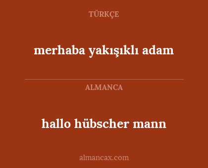 hallo hübscher mann - merhaba yakışıklı adam