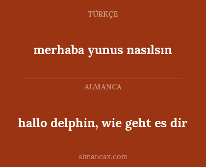 hallo delphin, wie geht es dir - merhaba yunus nasılsın