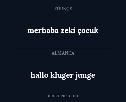 hallo kluger junge - merhaba zeki çocuk