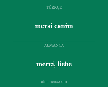 merci, liebe - mersi canim