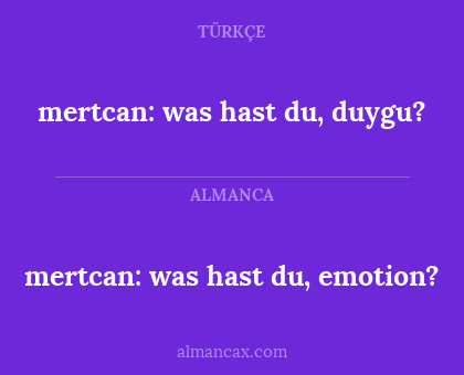 mertcan: was hast du, duygu? - mertcan: was hast du, emotion?