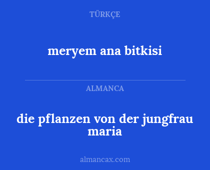 die pflanzen von der jungfrau maria - meryem ana bitkisi