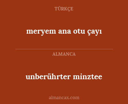 unberührter minztee - meryem ana otu çayı