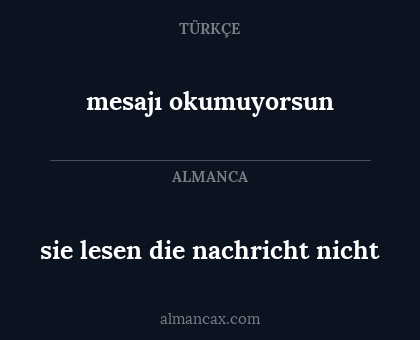 sie lesen die nachricht nicht - mesajı okumuyorsun