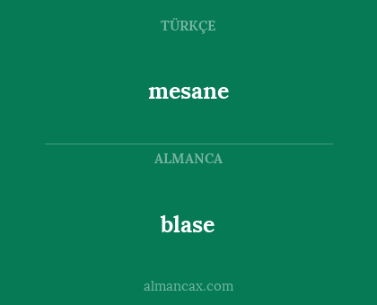 blase - mesane