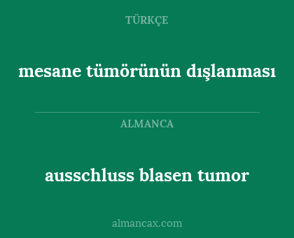 ausschluss blasen tumor - mesane tümörünün dışlanması