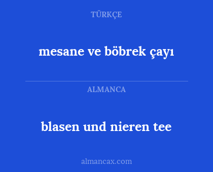 mesane ve böbrek çayı - blasen und nieren tee