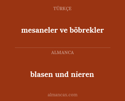 blasen und nieren - mesaneler ve böbrekler