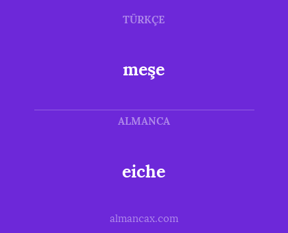 eiche - meşe