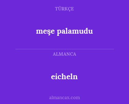 meşe palamudu - eicheln