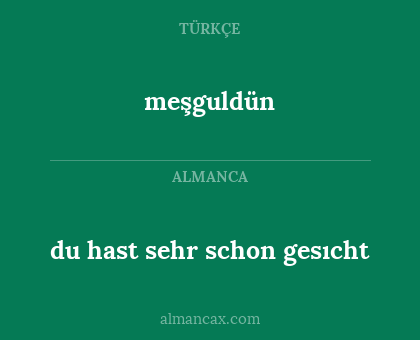 du hast sehr schon gesıcht - meşguldün