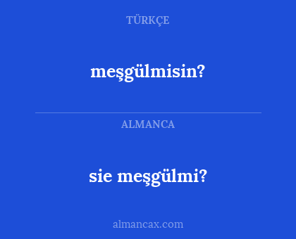 sie meşgülmi? - meşgülmisin?