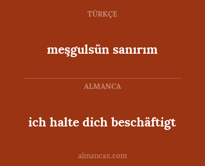 ich halte dich beschäftigt - meşgulsün sanırım