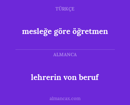 mesleğe göre öğretmen - lehrerin von beruf