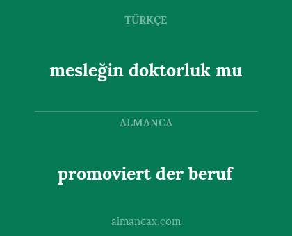 mesleğin doktorluk mu - promoviert der beruf