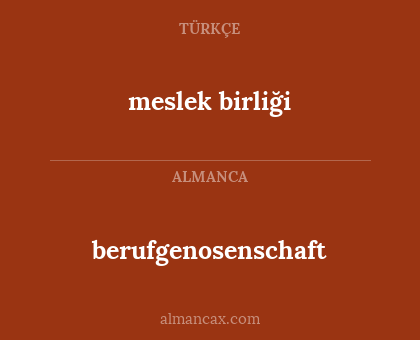 berufgenosenschaft - meslek birliği
