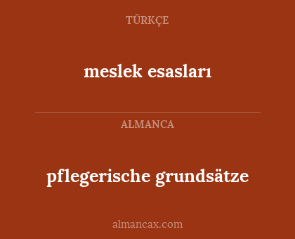 meslek esasları - pflegerische grundsätze