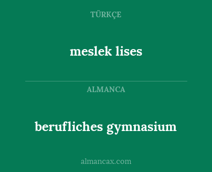 meslek lises - berufliches gymnasium