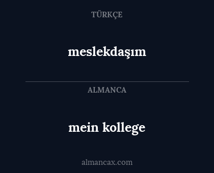 mein kollege - meslekdaşım