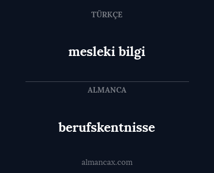 mesleki bilgi - berufskentnisse