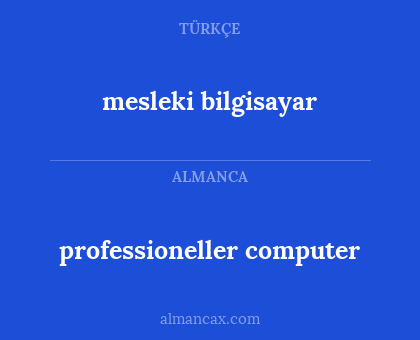mesleki bilgisayar - professioneller computer