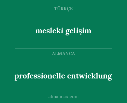 professionelle entwicklung - mesleki gelişim