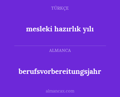 berufsvorbereitungsjahr - mesleki hazırlık yılı