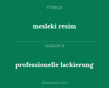 mesleki resim - professionelle lackierung