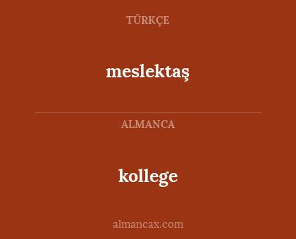 meslektaş - kollege