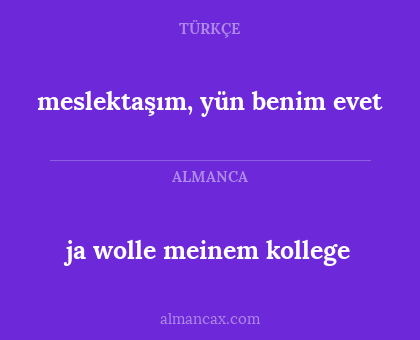 meslektaşım, yün benim evet - ja wolle meinem kollege