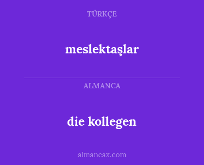 meslektaşlar - die kollegen