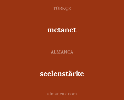seelenstärke - metanet