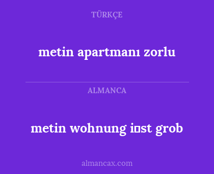 metin wohnung i̇st grob - metin apartmanı zorlu