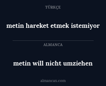 metin will nicht umziehen - metin hareket etmek istemiyor