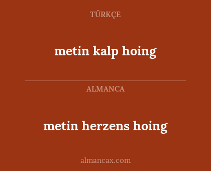 metin herzens hoing - metin kalp hoing