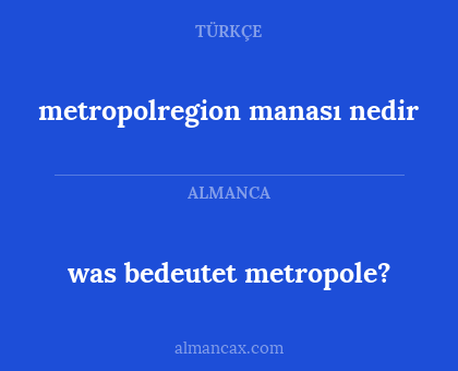 metropolregion manası nedir - was bedeutet metropole?