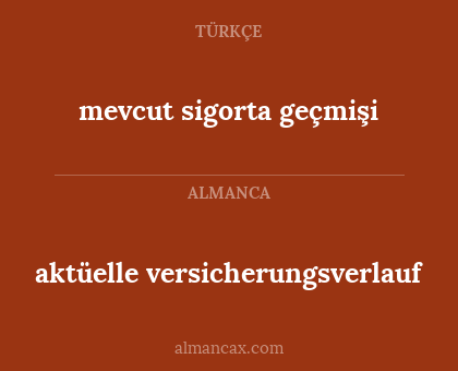 aktüelle versicherungsverlauf - mevcut sigorta geçmişi