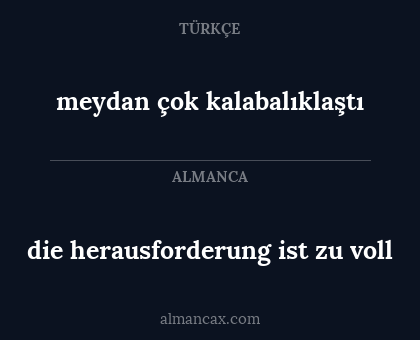 meydan çok kalabalıklaştı - die herausforderung ist zu voll