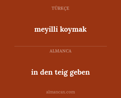 in den teig geben - meyilli koymak
