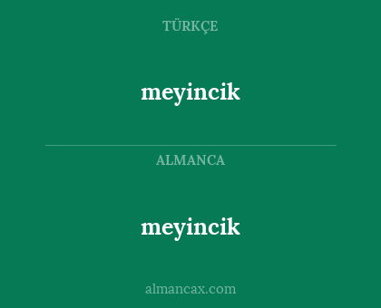 meyincik - meyincik