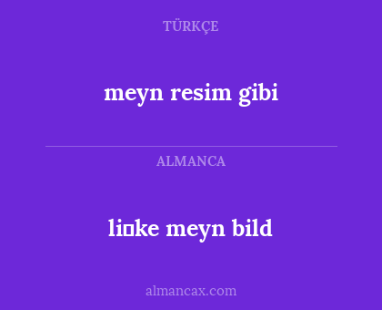 li̇ke meyn bild - meyn resim gibi