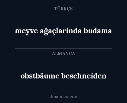 obstbäume beschneiden - meyve ağaçlarinda budama
