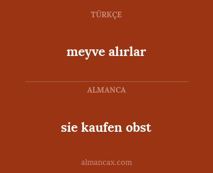 sie kaufen obst - meyve alırlar