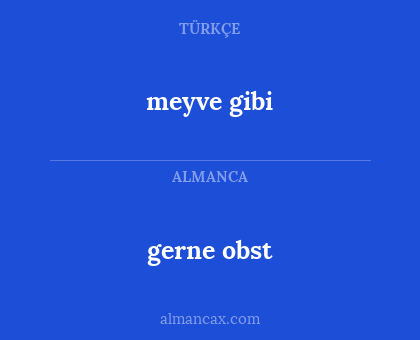 meyve gibi - gerne obst